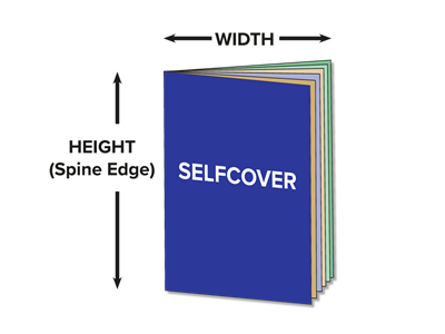 Saddlebound Selfcover